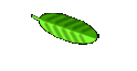 Anmeldung