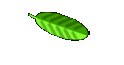 Logbuch