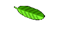 Mitglieder