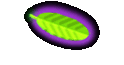 Mitglieder