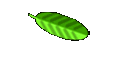 Anmeldung